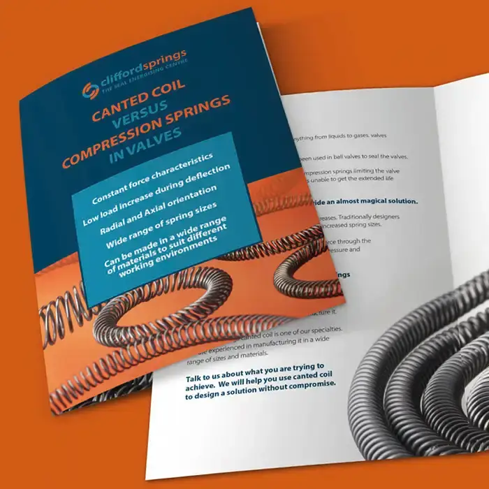 Clifford Springs brochure design