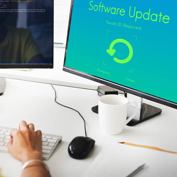 Software Update - Investing in your website