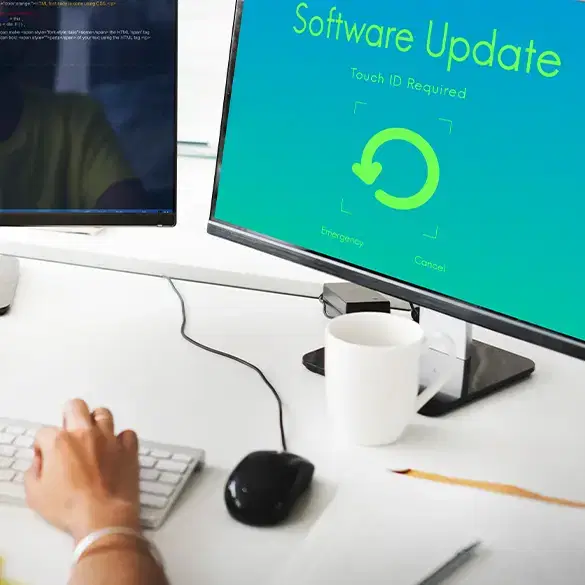 Software Update - Investing in your website